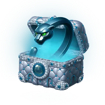 Case